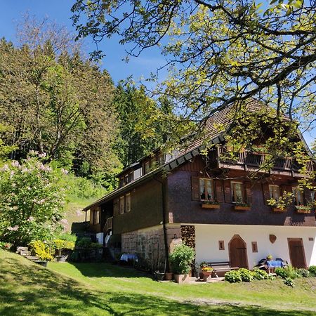 Ferienwohnungen Vogt'S Libding Bad Rippoldsau-Schapbach Exteriér fotografie