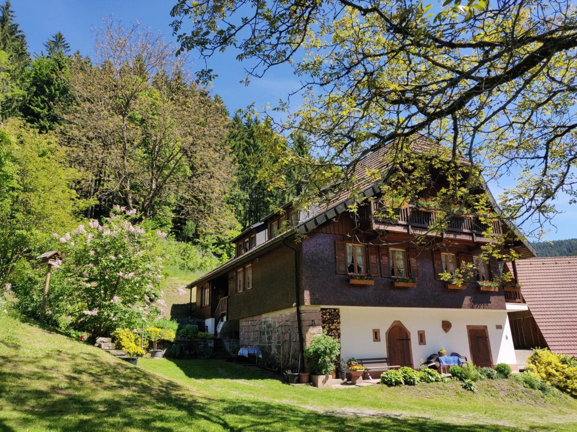Ferienwohnungen Vogt'S Libding Bad Rippoldsau-Schapbach Exteriér fotografie