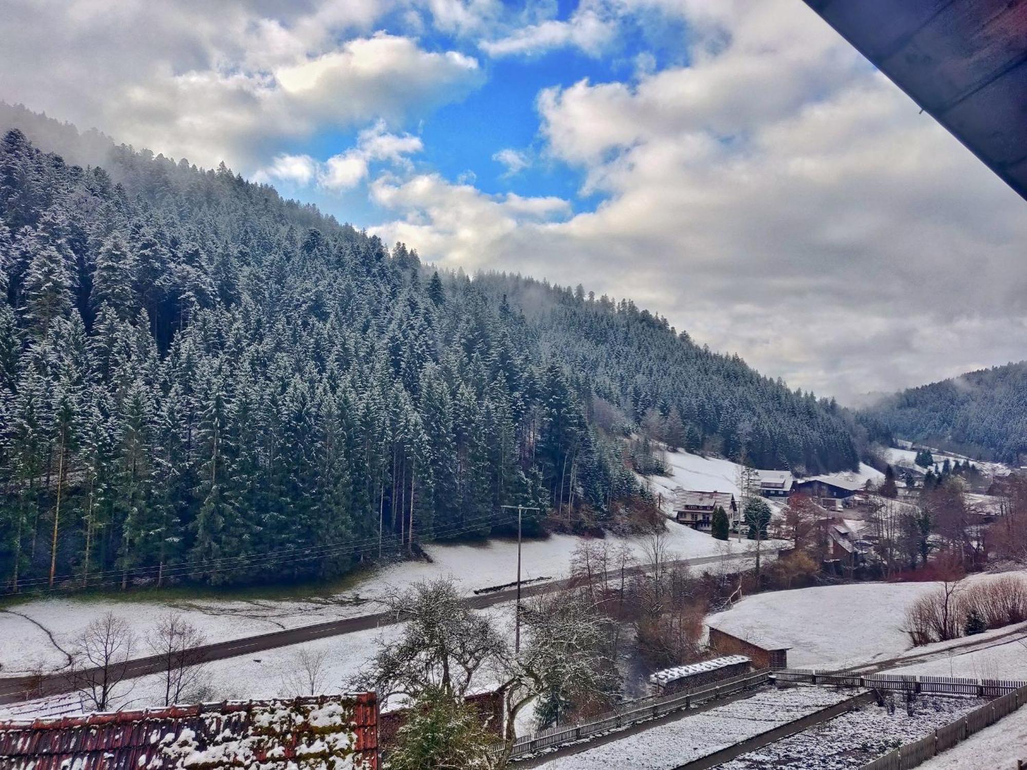 Ferienwohnungen Vogt'S Libding Bad Rippoldsau-Schapbach Exteriér fotografie